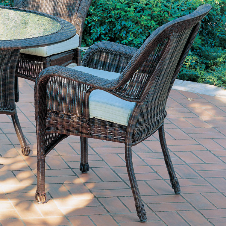 Bay Isle Home South Lamar All Weather Wicker Dining Armchair with Cushion Wayfair